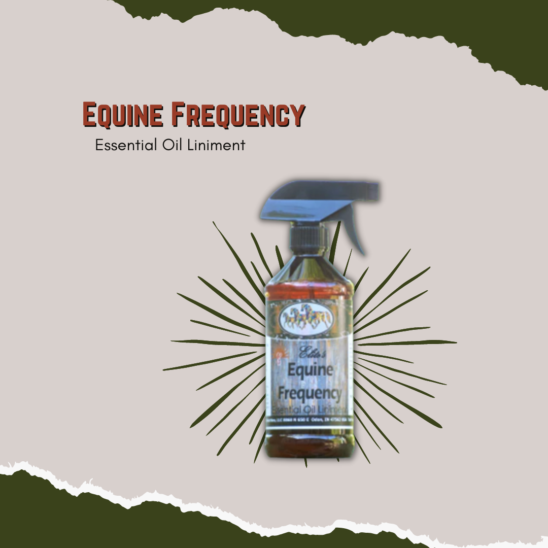 Equine Frquency Spray - Essential Oil Liniment