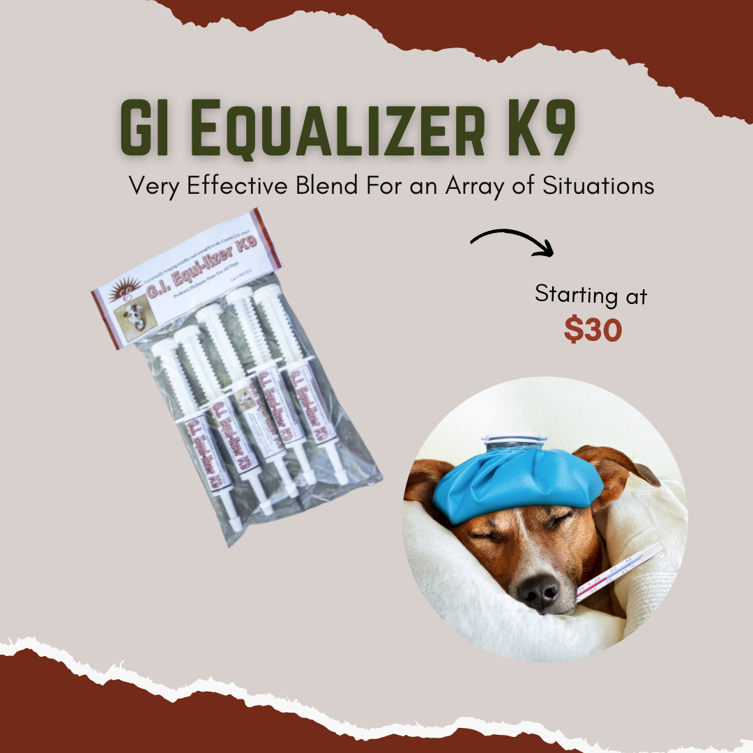 GI Equalizer K9 - Infection and Illness