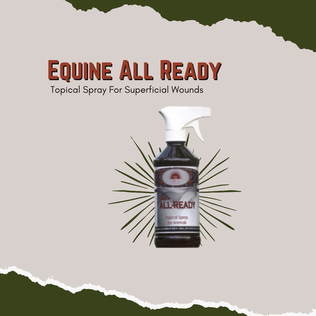 Equine "All Ready" Topical Spray