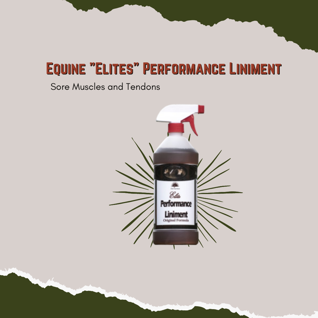 Elite Performance Liniment - Sore Muscles and Tendons