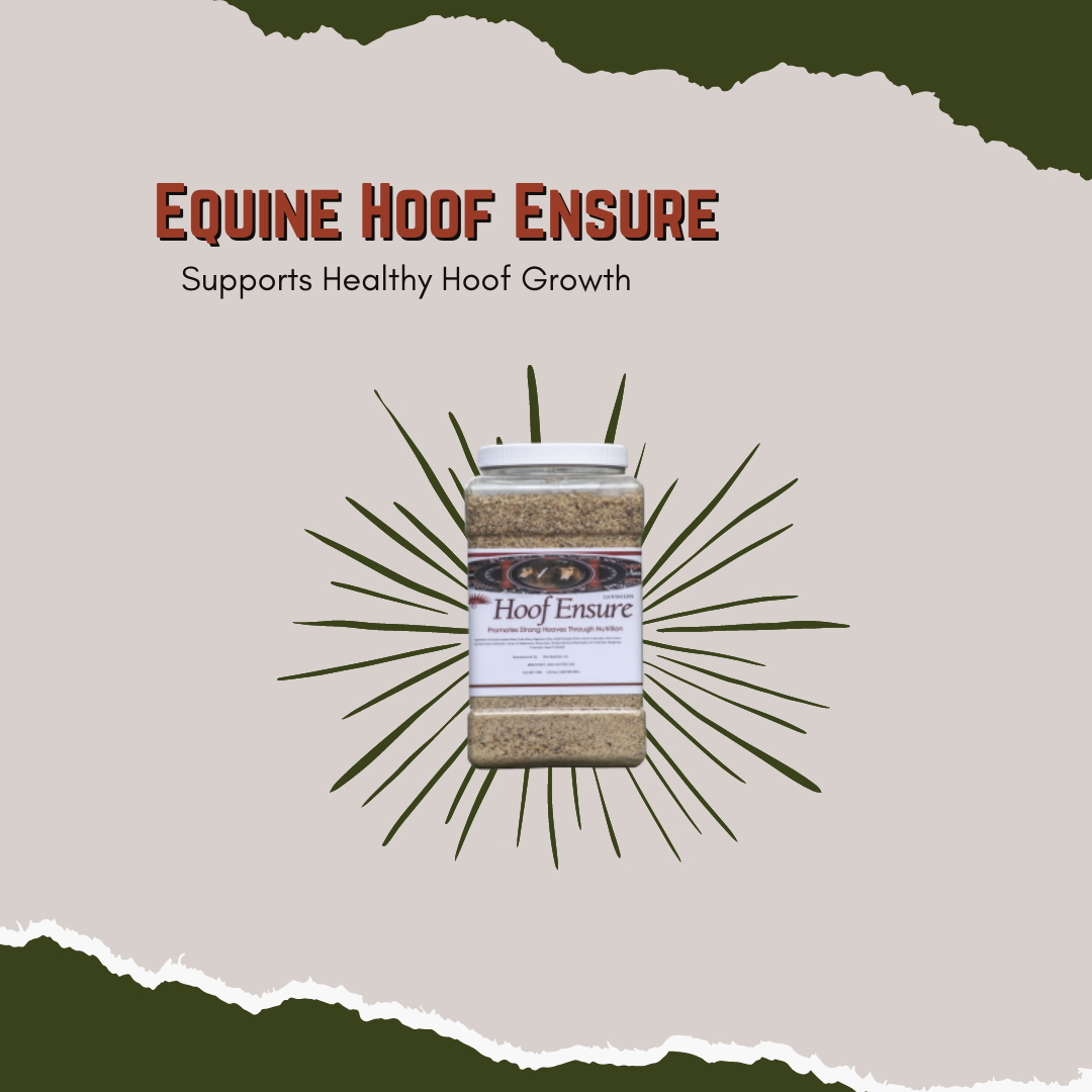 Equine Hoof Ensure - Supports Healthy Hoof Growth