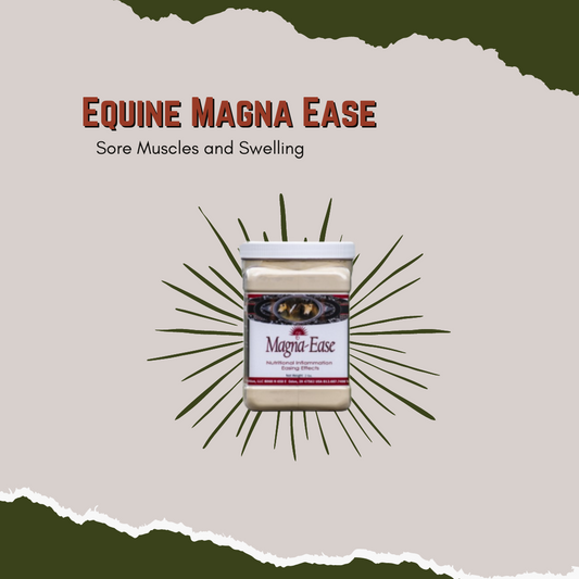 Chelated magnesium for better absorption Sore muscles, swollen hocks, overworked horses or soft tissue swelling Use before and after strenuous workloads