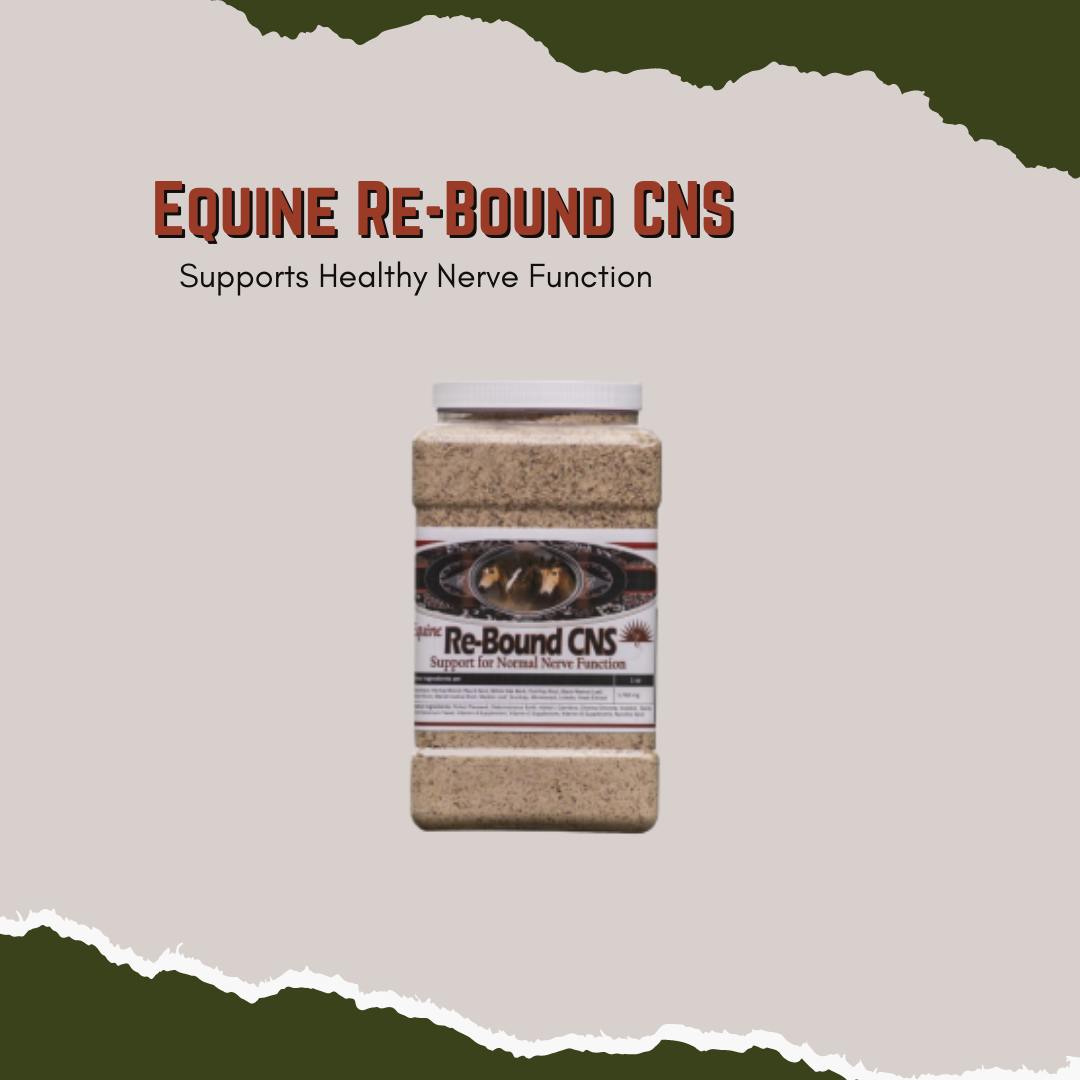 Equine ReBound CNS - Supports Healthy Nerve Function