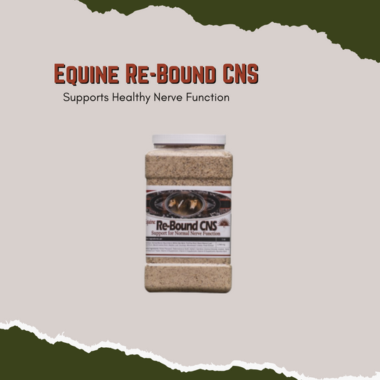 5lb Container Pair with Re-Balance Bb for EPM horses Helps restore nerve weakness or damage May increase healing times on soft tissue and tendon damage Supports healthy nerve function and healing