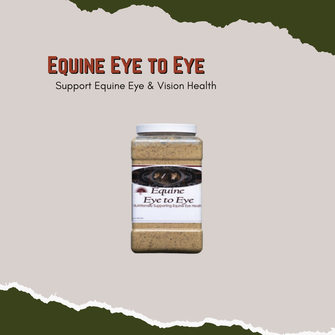 Equine Eye to Eye -Support Equine Eye & Vision Health
