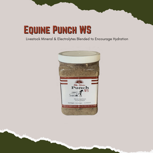 Equine Punch WS -Livestock Mineral & Electrolytes Blended to Encourage Hydration