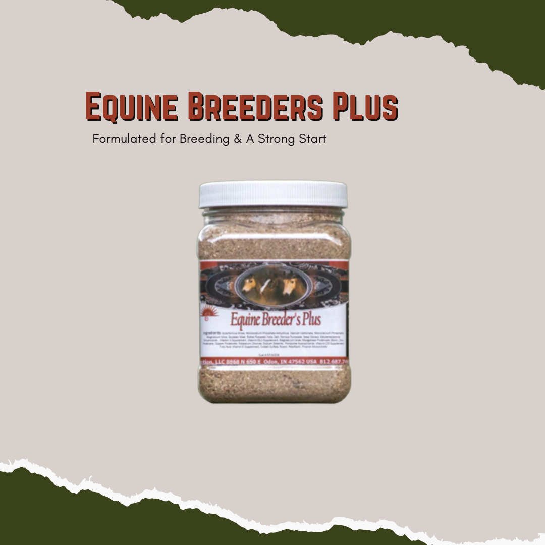 Equine Breeders Plus - Formulated for Breeding