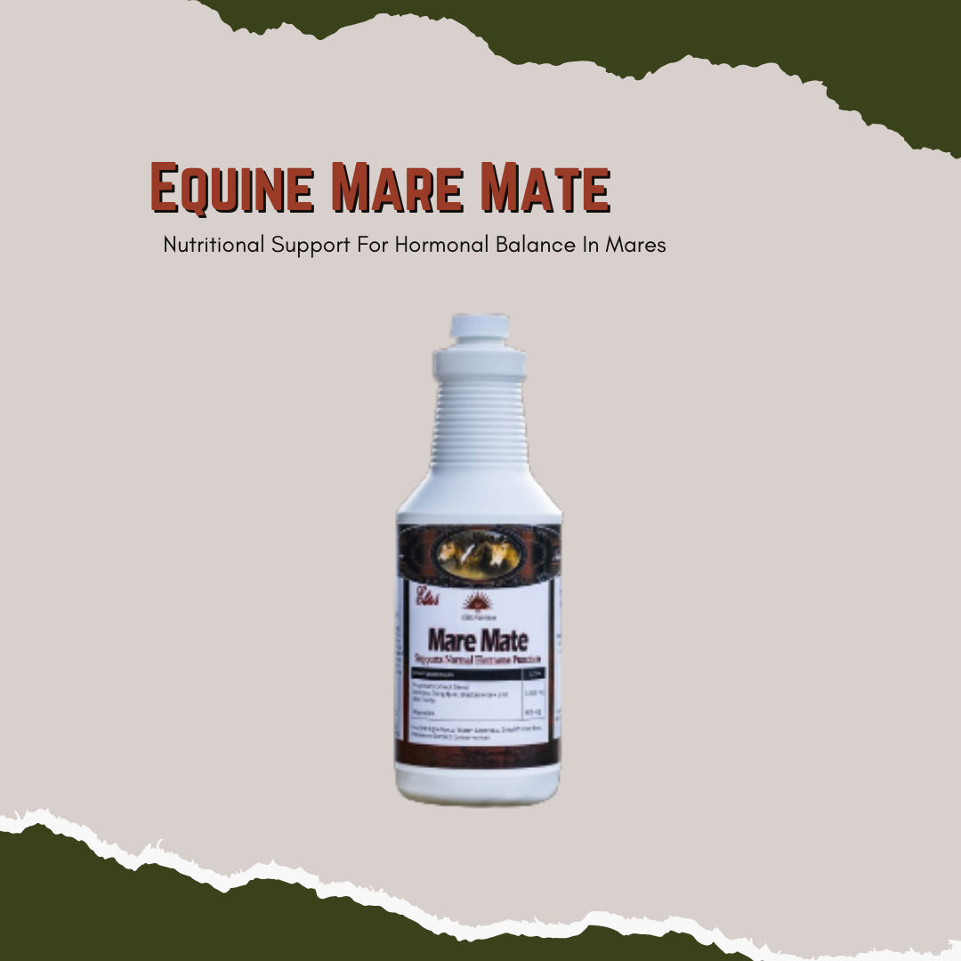 Equine Mare Mate - Nutritional Support For Hormonal Balance In Mares