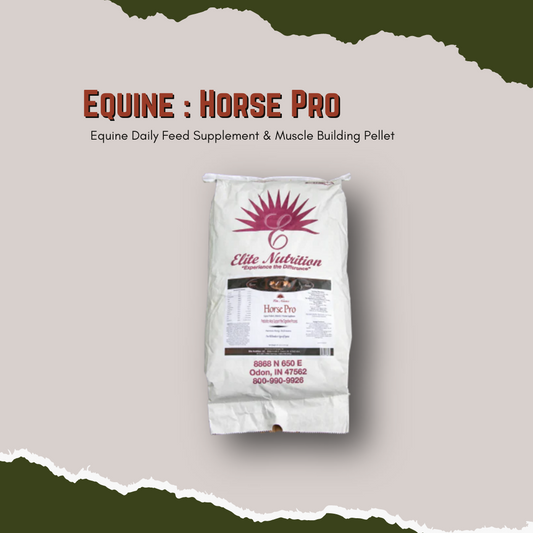Equine Horse Pro - Equine Daily Feed Supplement & Muscle Building Pellet