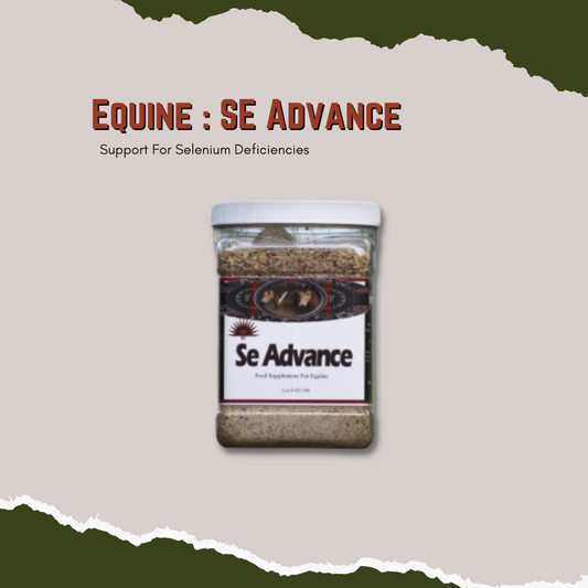 Equine SE Advance is a scientifically-formulated supplement specifically designed to help reduce selenium deficiencies in horses. The combination of selenium and vitamin E results in improved recovery time of working muscles while reducing the chance of road-soreness. Plus, with many hay and pasture sources being deficient in selenium, equine SE Advance is a great way to ensure your horse has the nutrition it needs.