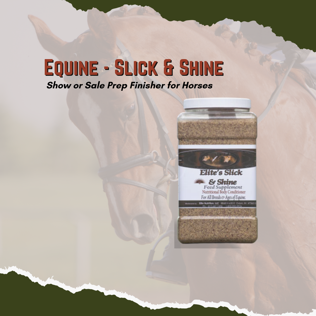 Equine Slick and Shine - Show or Sale Prep Finisher for Equine