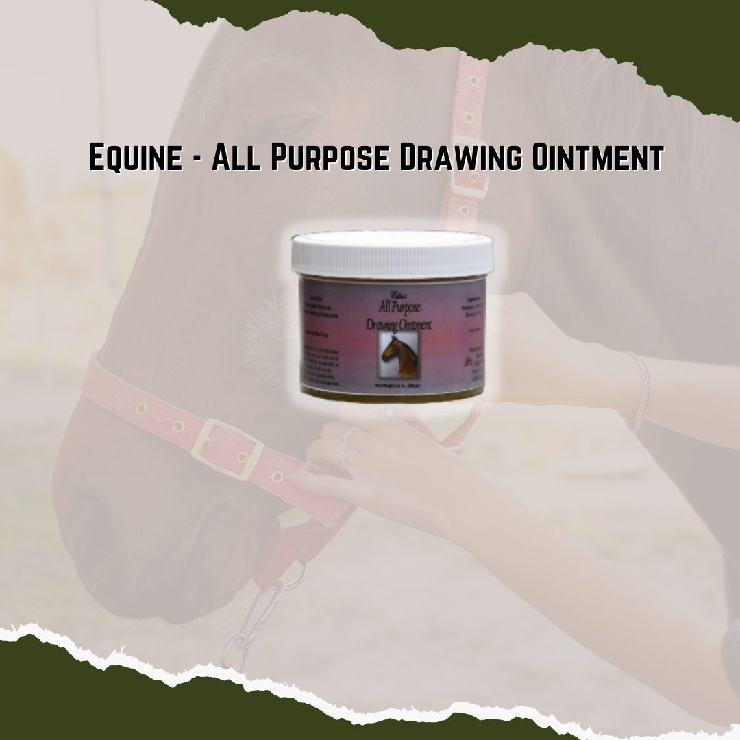 Equine All Purpose Drawing Ointment