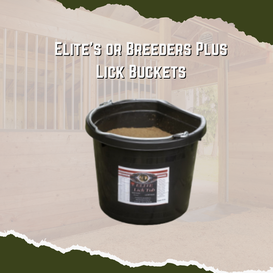Elite's Lick Bucket contains a well-balanced blend of nutrition that supports bone and body development of horses of any age and breed