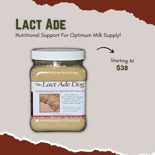 Lact Ade - Canine Lactation Support